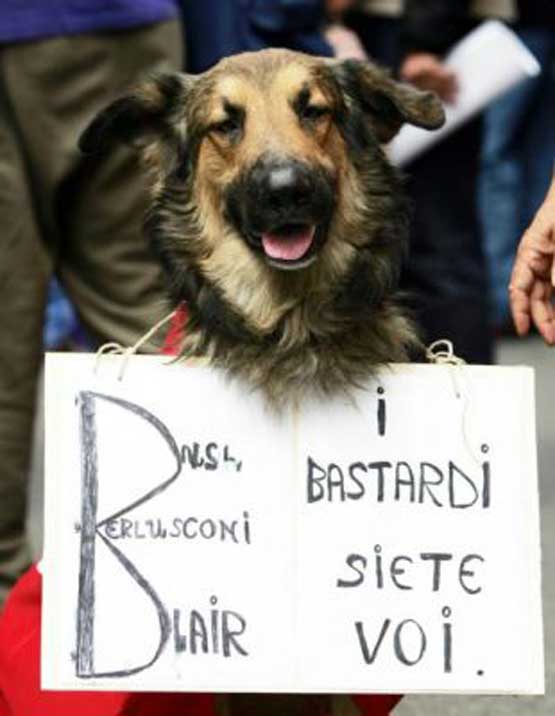 Manifestazione per la pace